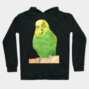 budgie bird parrot watercolor Hoodie